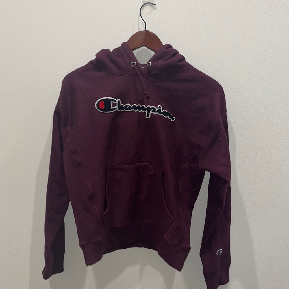 Vintage Champion Reverse Weave Hoodie